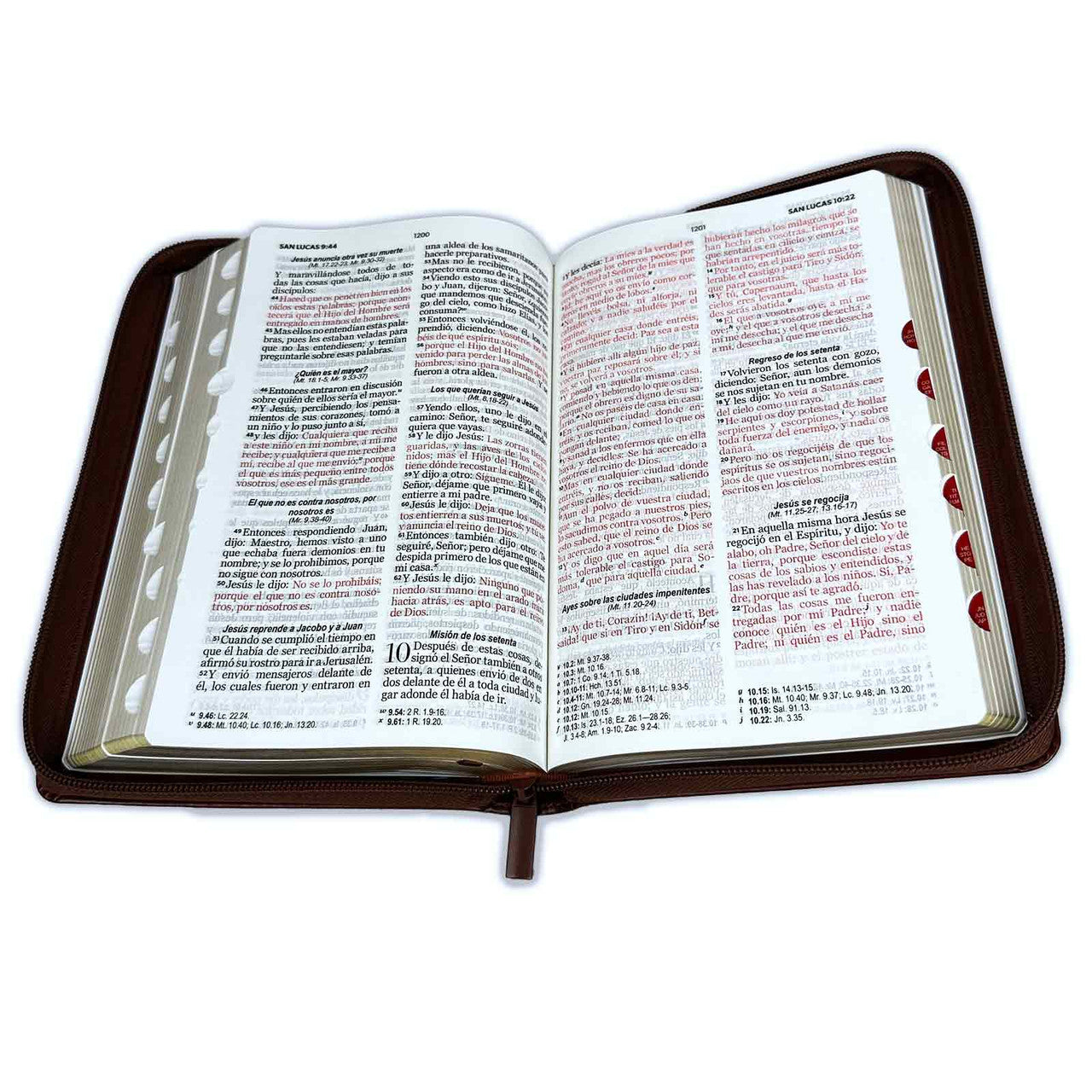 Biblia RVR60 Letra Grande Clasica semi Piel Cafe  con Cierre/Indice - The Perfect Gift