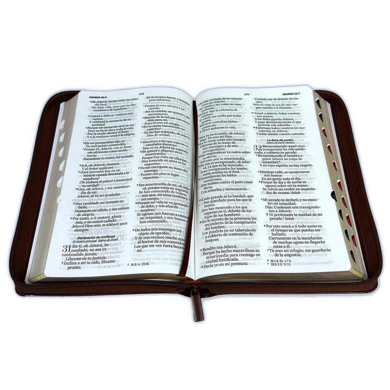 Biblia RVR60 Letra Grande Clasica semi Piel Cafe  con Cierre/Indice - The Perfect Gift
