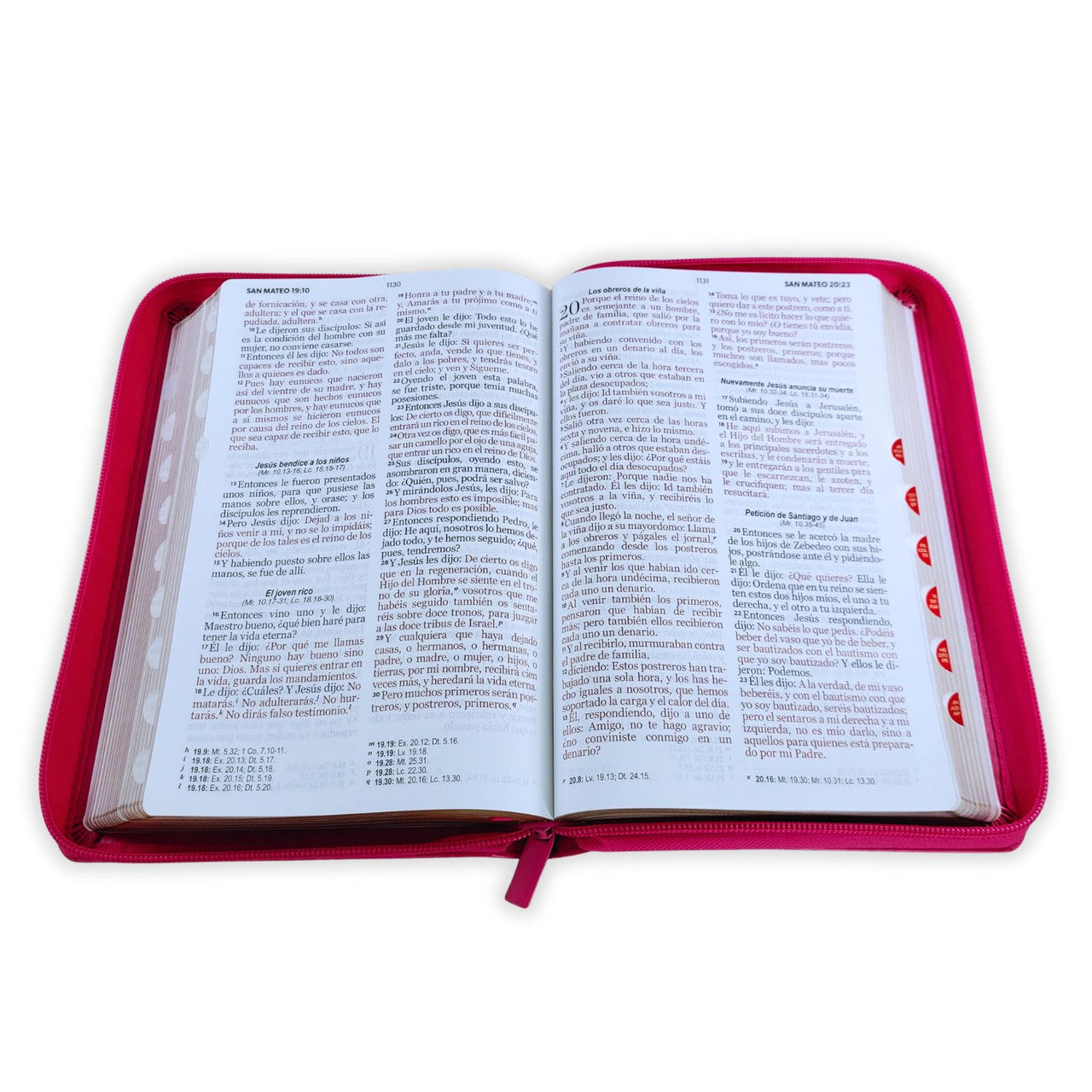 Biblia RVR 1960 Letra Grande Tamaño Manual Semi Piel Fucsia con Cierre/ Indice - The Perfect Gift