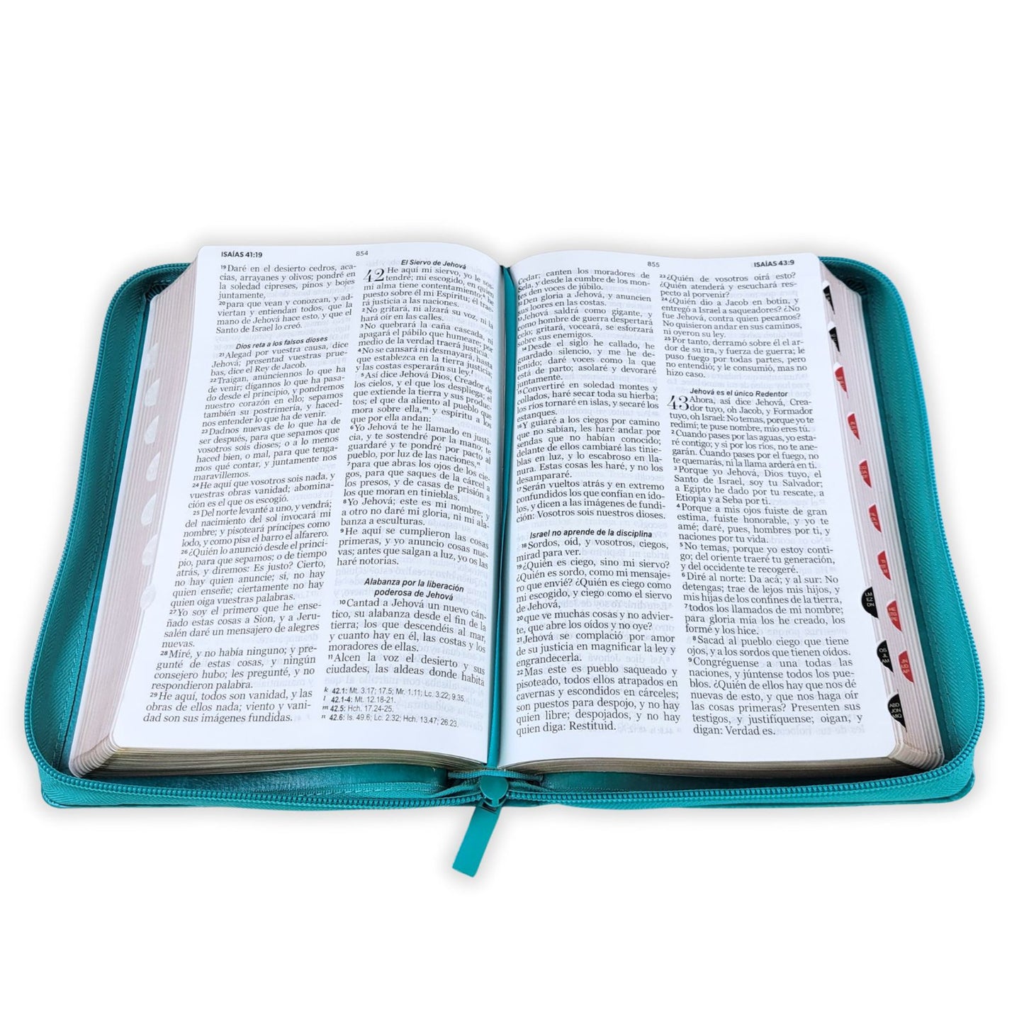 Biblia RVR 1960 Letra Grande Tamaño Manual Semi Piel Turquesa con Cierre/ Indice - The Perfect Gift