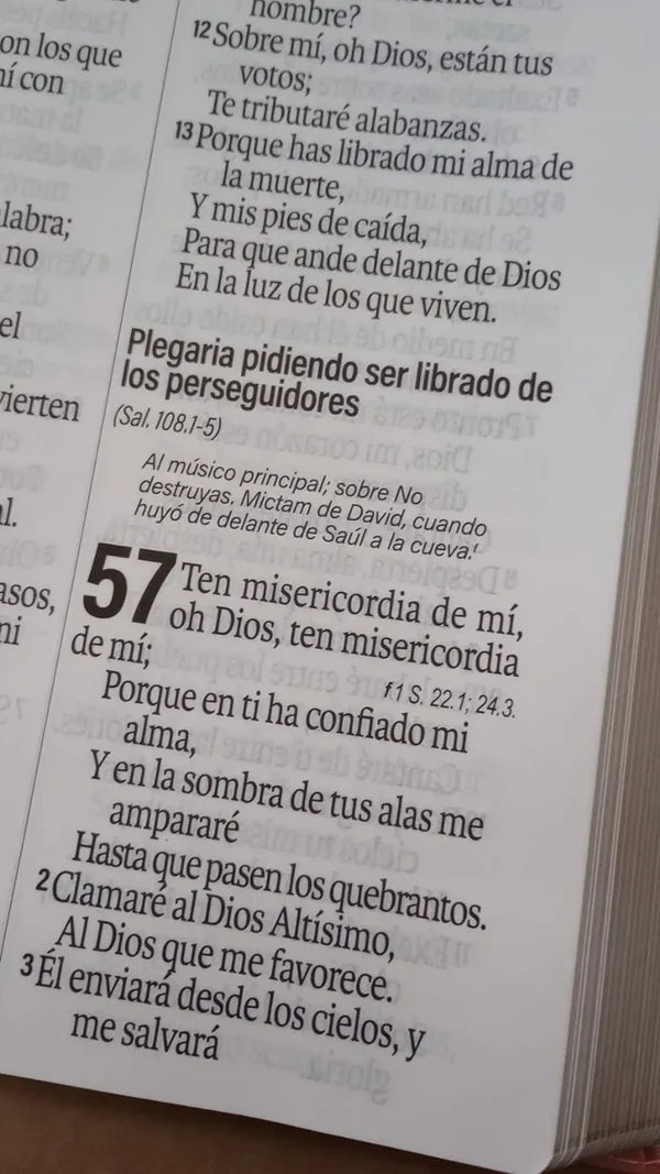 Biblia Rvr60 Turquesa floral letra Super  Gigante Letra 19 Puntos - The Perfect Gift