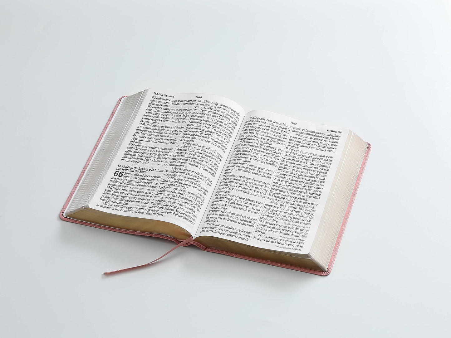 Biblia Rvr60 Rosa Floral letra Super  Gigante Letra 19 Puntos - The Perfect Gift