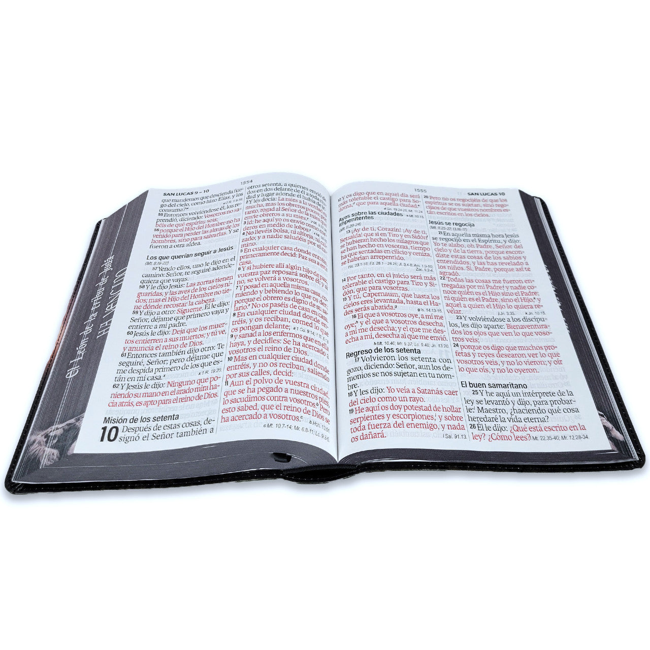 Biblia RVR60  León de Judá letra super gigante 19 puntos - The Perfect Gift