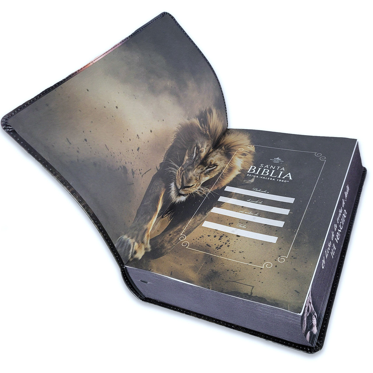 Biblia RVR60  León de Judá letra super gigante 19 puntos - The Perfect Gift