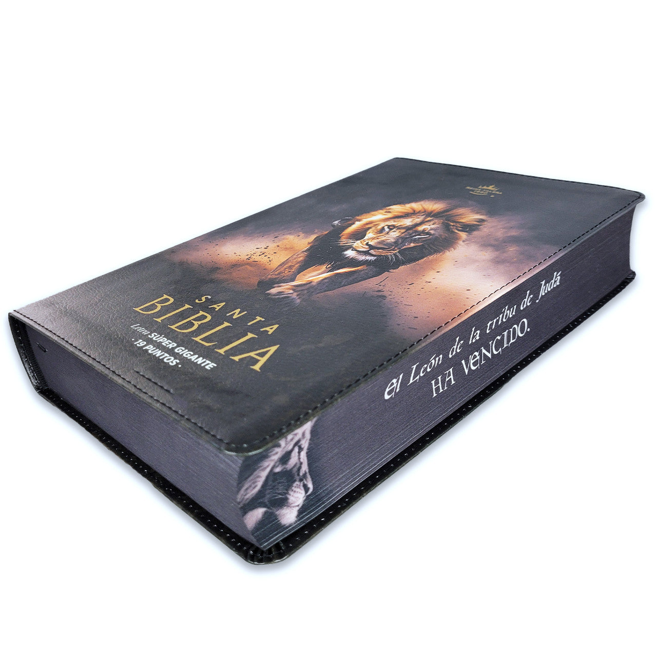 Biblia RVR60  León de Judá letra super gigante 19 puntos - The Perfect Gift