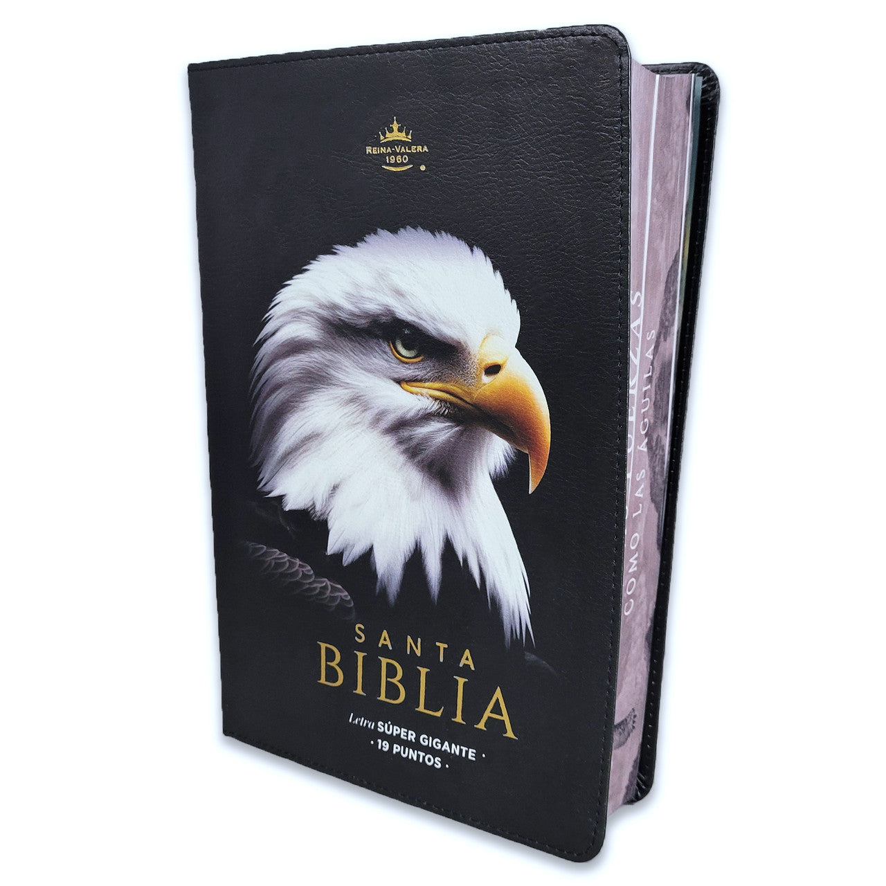 Biblia RVR60 Aguila Nuevas Fuerza Letra Super Gigante 19 Puntos - The Perfect Gift