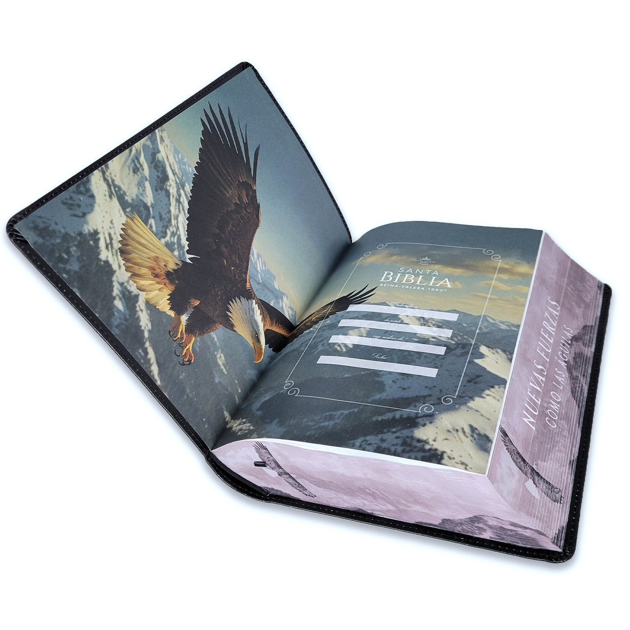 Biblia RVR60 Aguila Nuevas Fuerza Letra Super Gigante 19 Puntos - The Perfect Gift