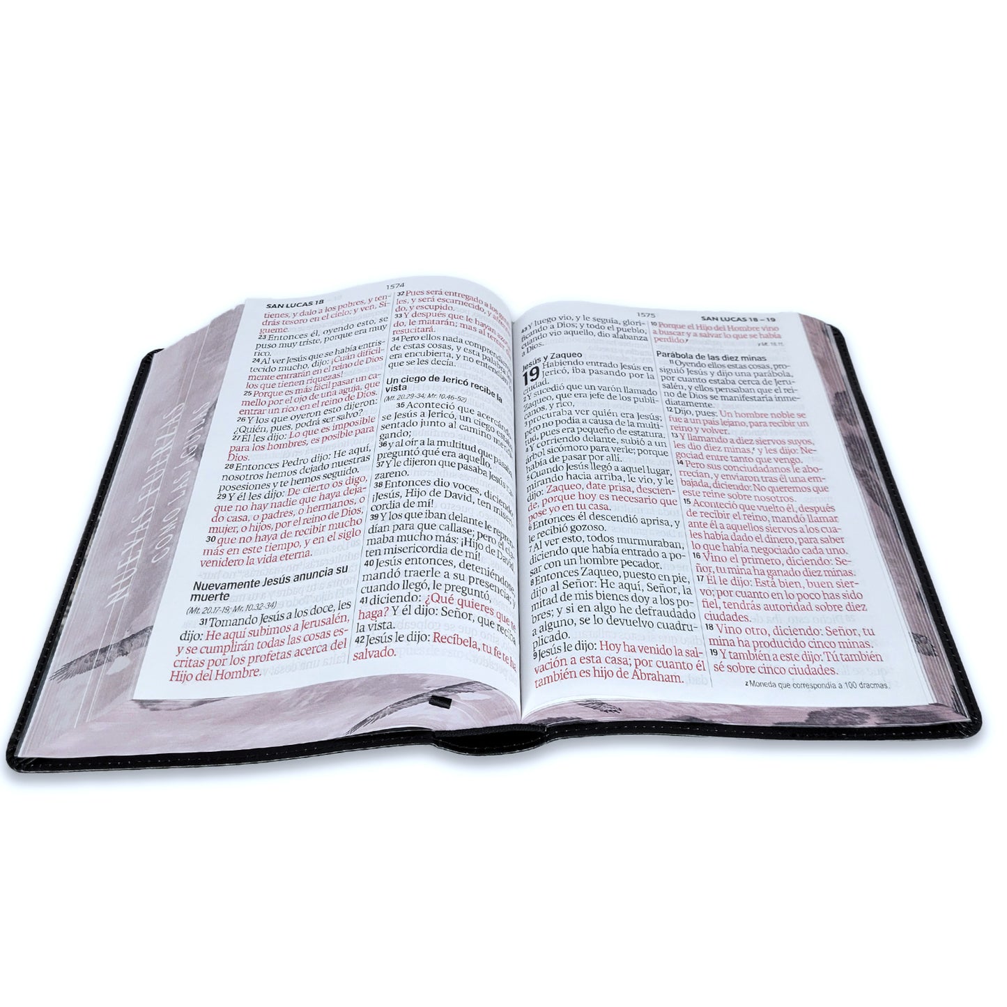 Biblia RVR60 Aguila Nuevas Fuerza Letra Super Gigante 19 Puntos - The Perfect Gift
