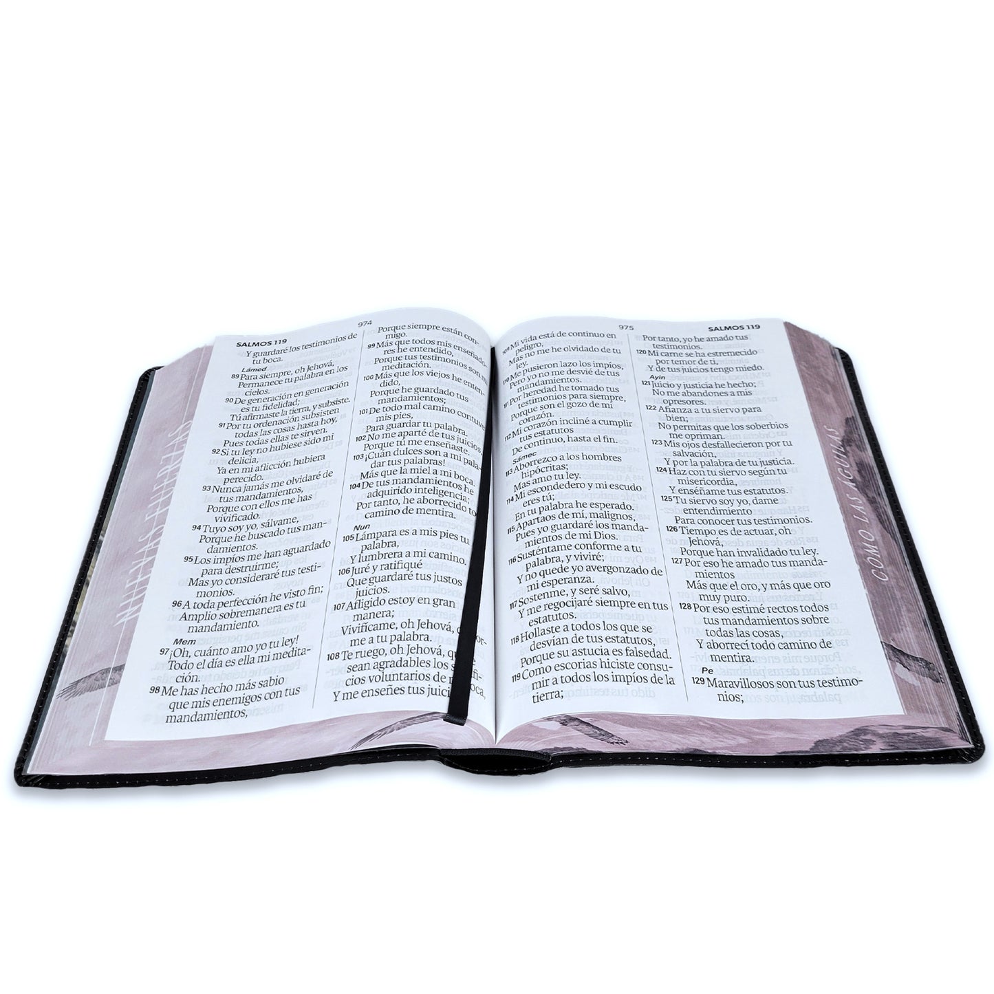 Biblia RVR60 Aguila Nuevas Fuerza Letra Super Gigante 19 Puntos - The Perfect Gift