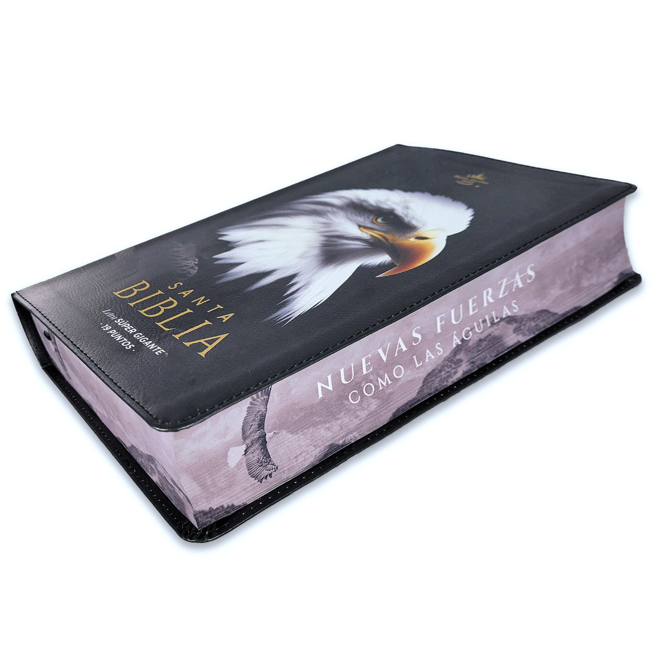 Biblia RVR60 Aguila Nuevas Fuerza Letra Super Gigante 19 Puntos - The Perfect Gift