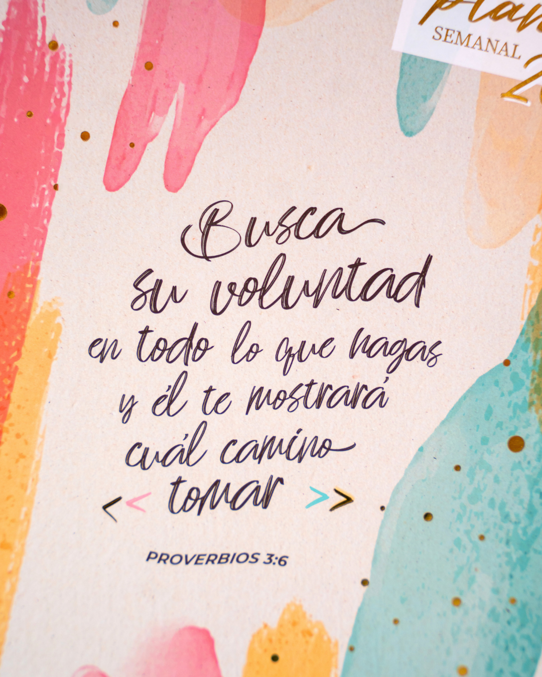 Planner 2026 | Acuarela - The Perfect Gift