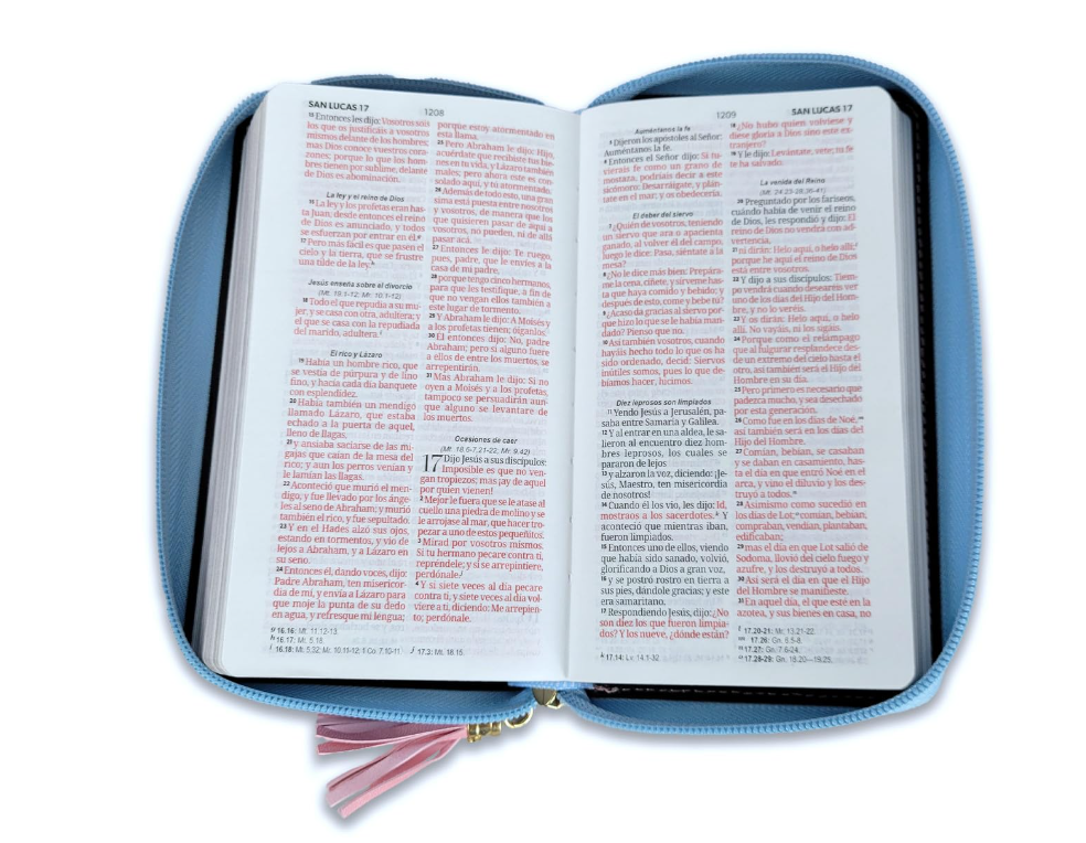 Biblia Chequera para Mujeres RV1960 rosada y celeste pequeña con lazo y agarradera de mano - The Perfect Gift