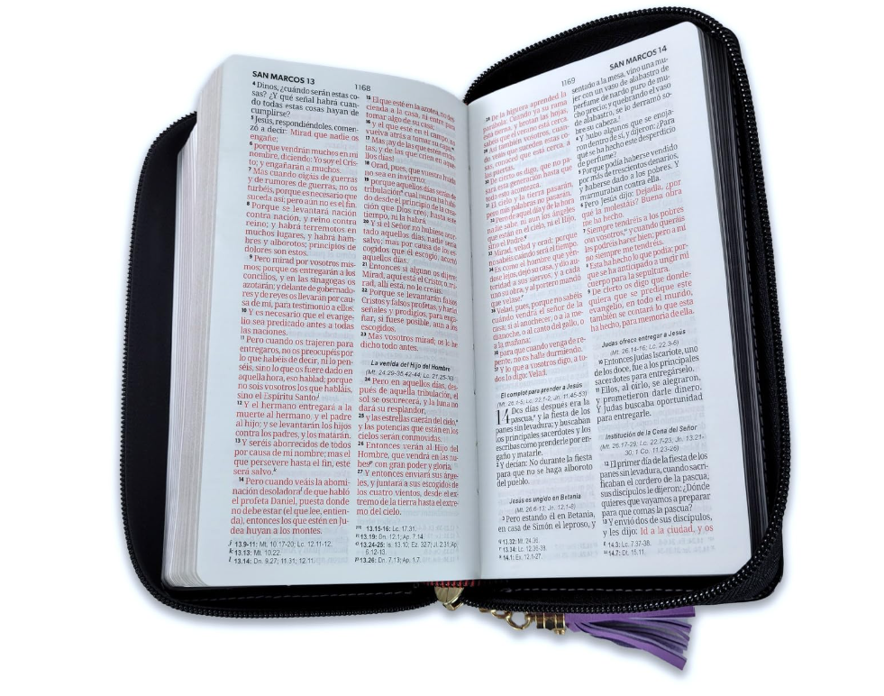 Biblia Chequera para Mujeres RV1960 morada y negro pequeña con lazo y agarradera de mano - The Perfect Gift