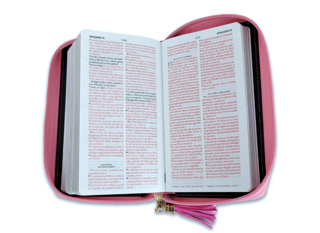 Biblia Chequera para Mujeres RV1960 fucsia y rosa pequeña con lazo y agarradera de mano - The Perfect Gift