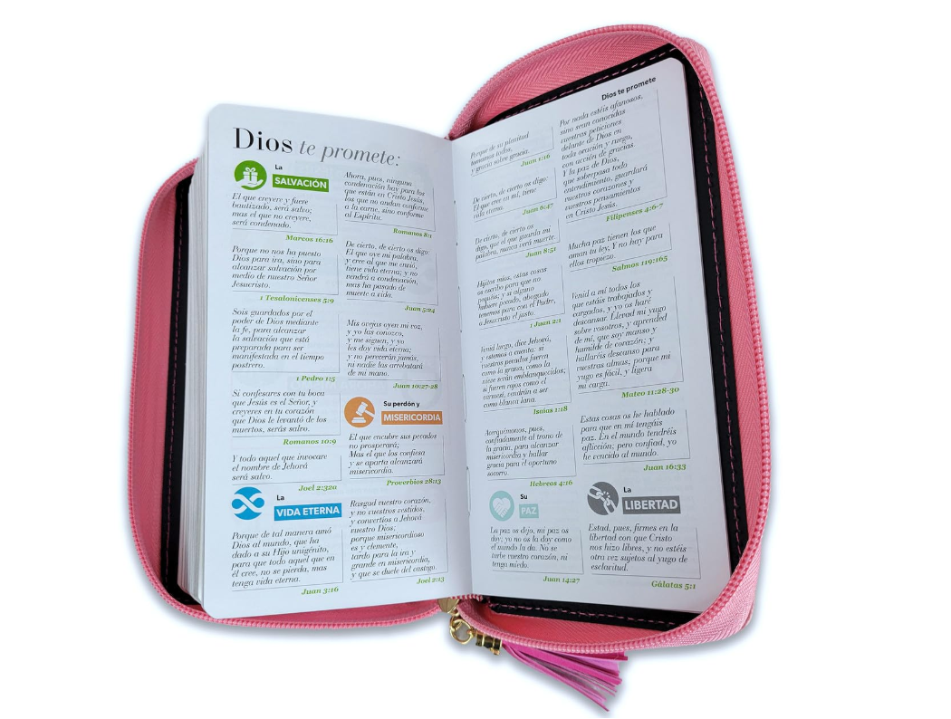 Biblia Chequera para Mujeres RV1960 fucsia y rosa pequeña con lazo y agarradera de mano - The Perfect Gift