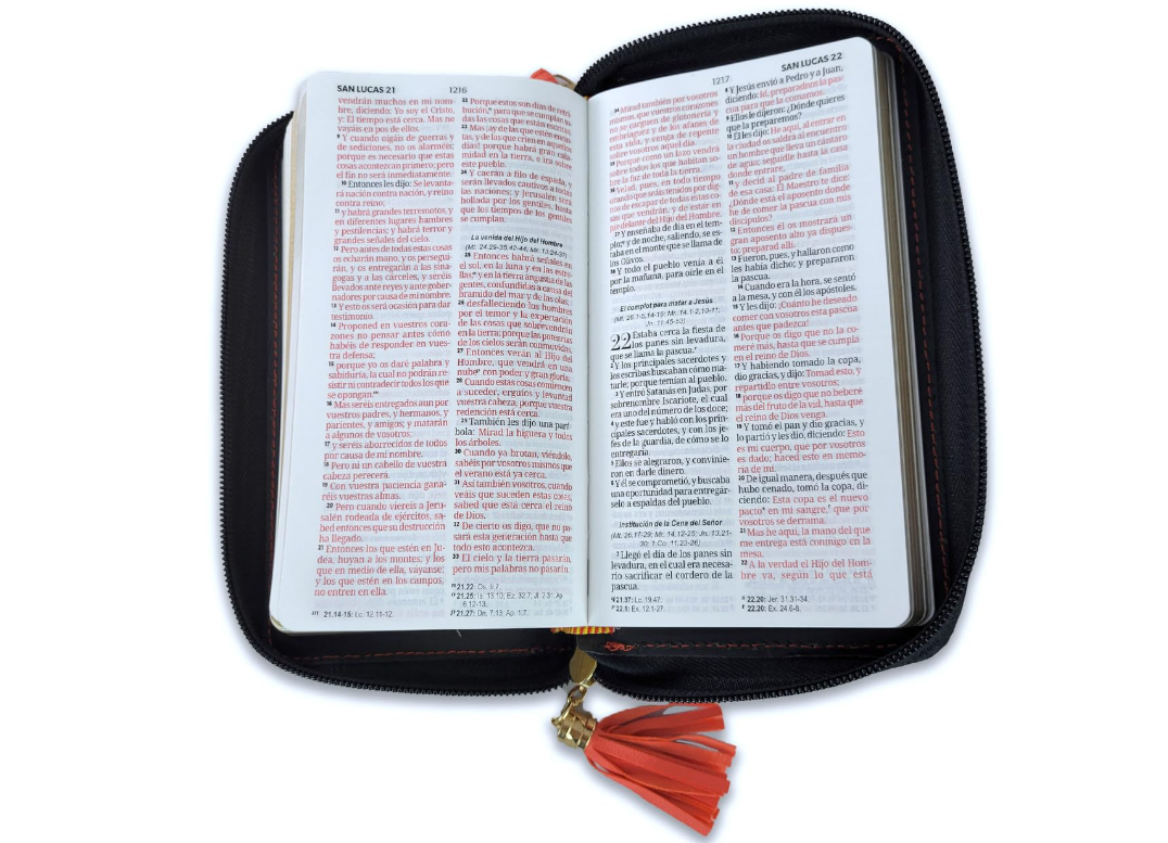 Biblia Chequera para Mujeres RV1960 coral y gris pequeña con lazo y agarradera de mano - The Perfect Gift