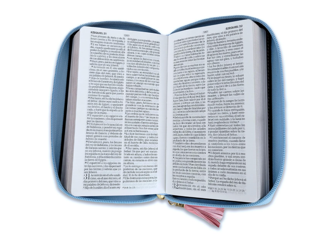 Biblia Chequera para Mujeres RV1960 rosada y celeste pequeña con lazo y agarradera de mano - The Perfect Gift
