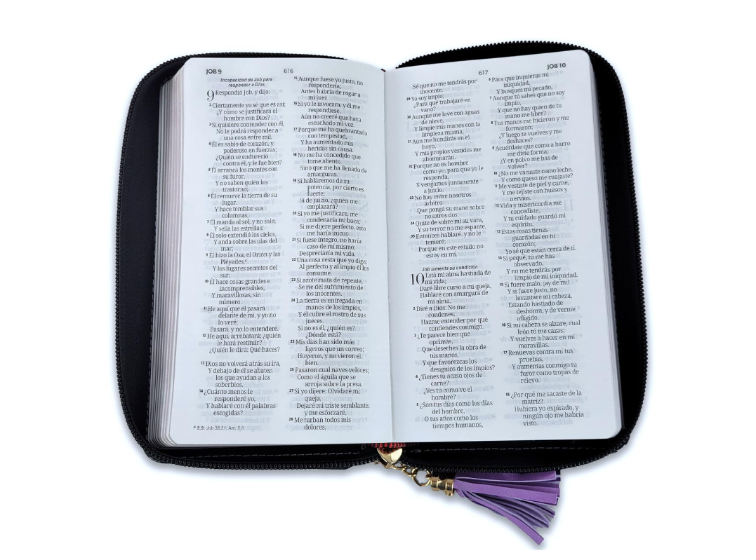Biblia Chequera para Mujeres RV1960 morada y negro pequeña con lazo y agarradera de mano - The Perfect Gift