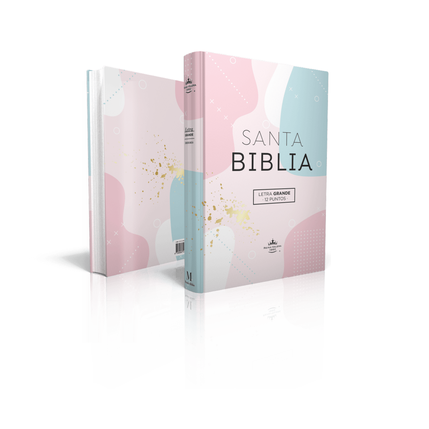 Biblia Reina Valera 1960 Eco-Flex Multicolor - The Perfect Gift
